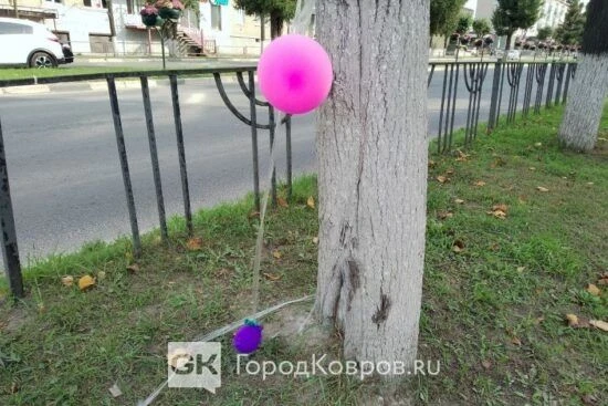 В Ярославской области сбили воздушные шары-разведчики: что это и чем опасны🚨