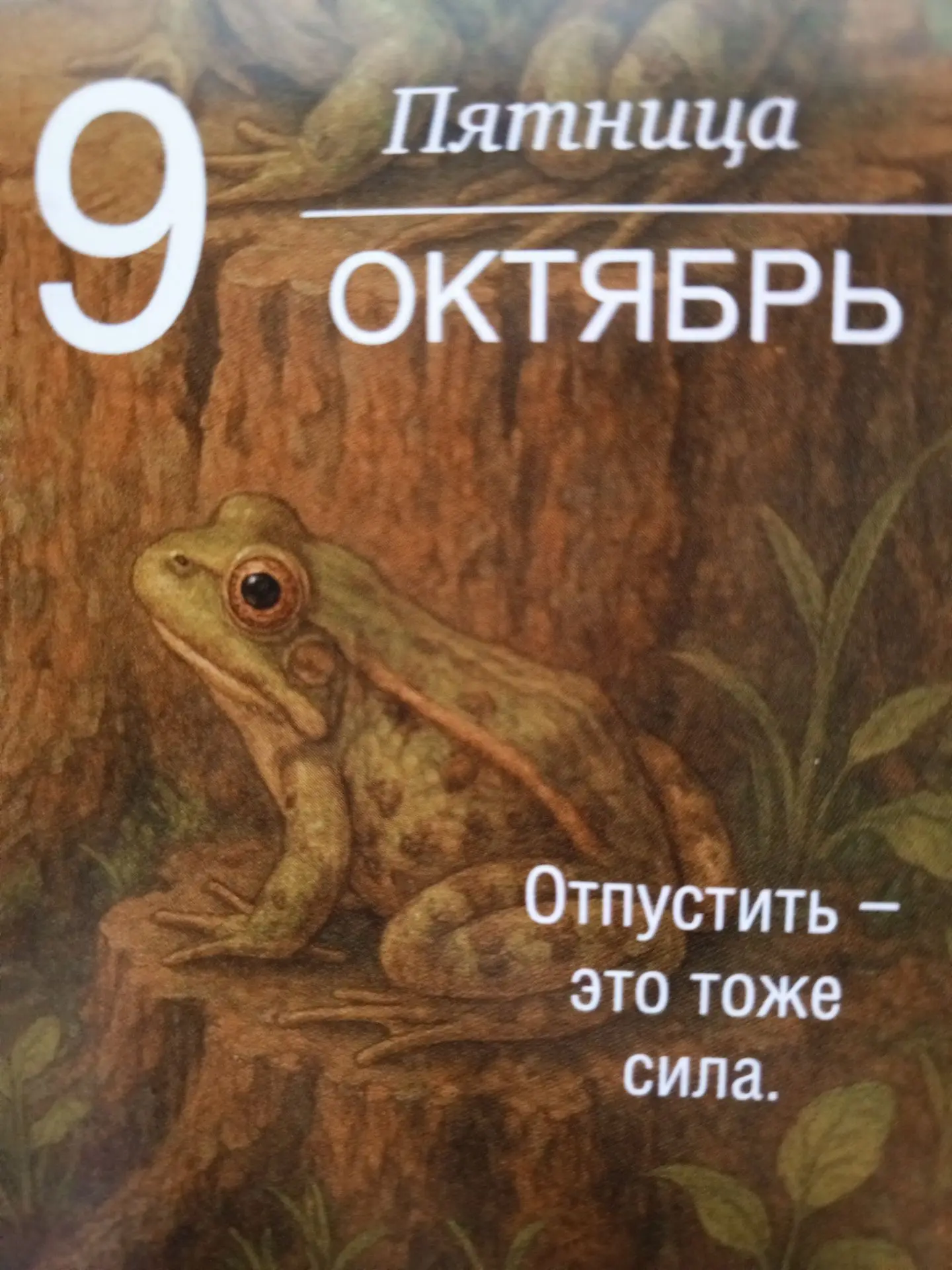 Отпустить — это действительно проявление большой внутренней силы, а не слабости. Удержи...