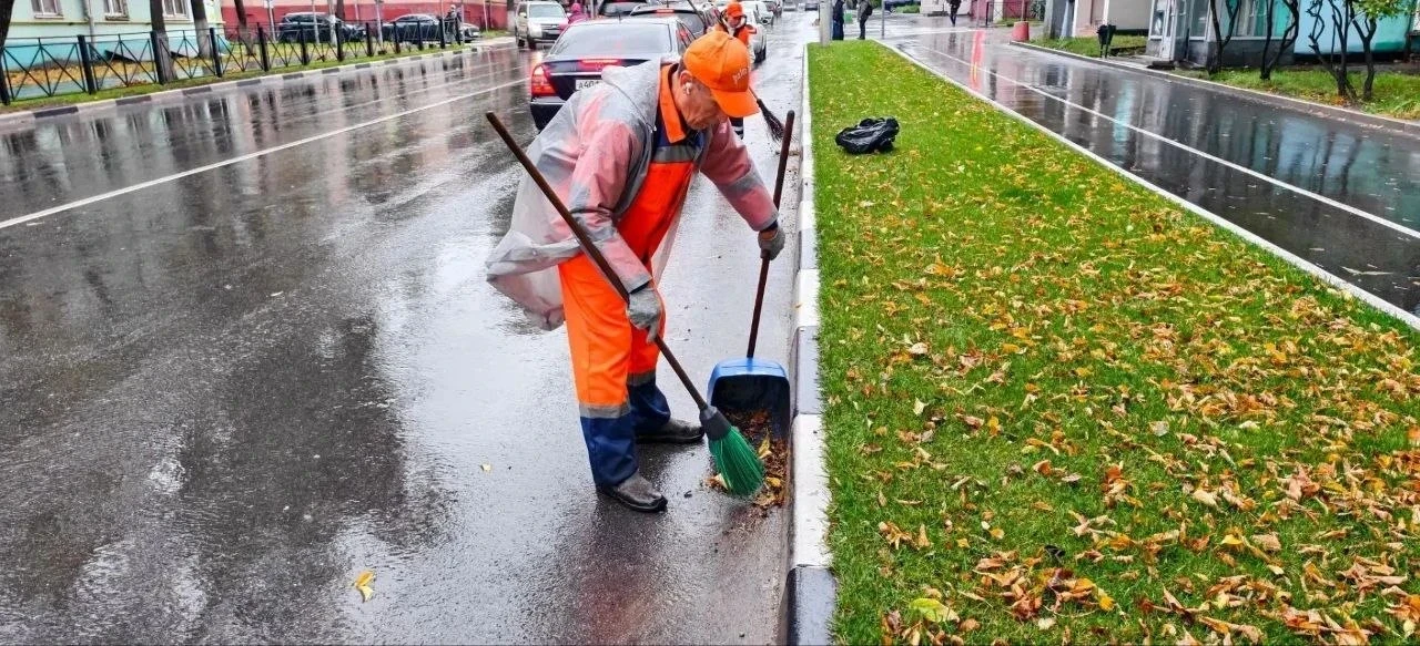 🍂 Уборка в разгаре
