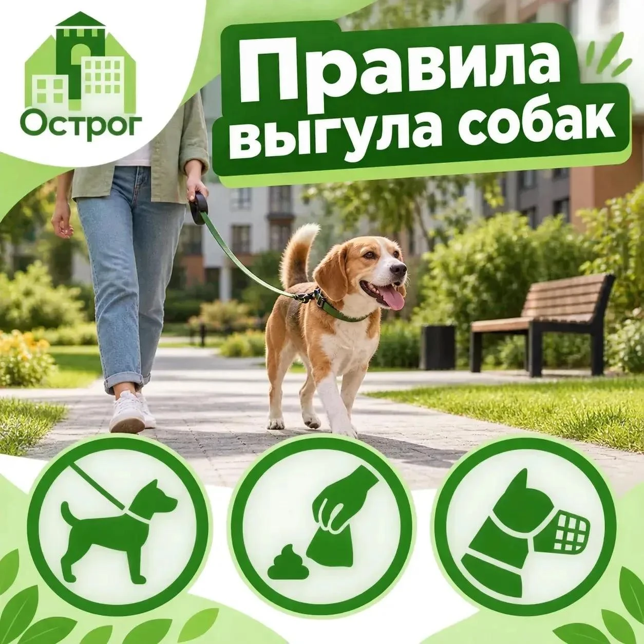 🐕 Выгул собак: правила для всех
