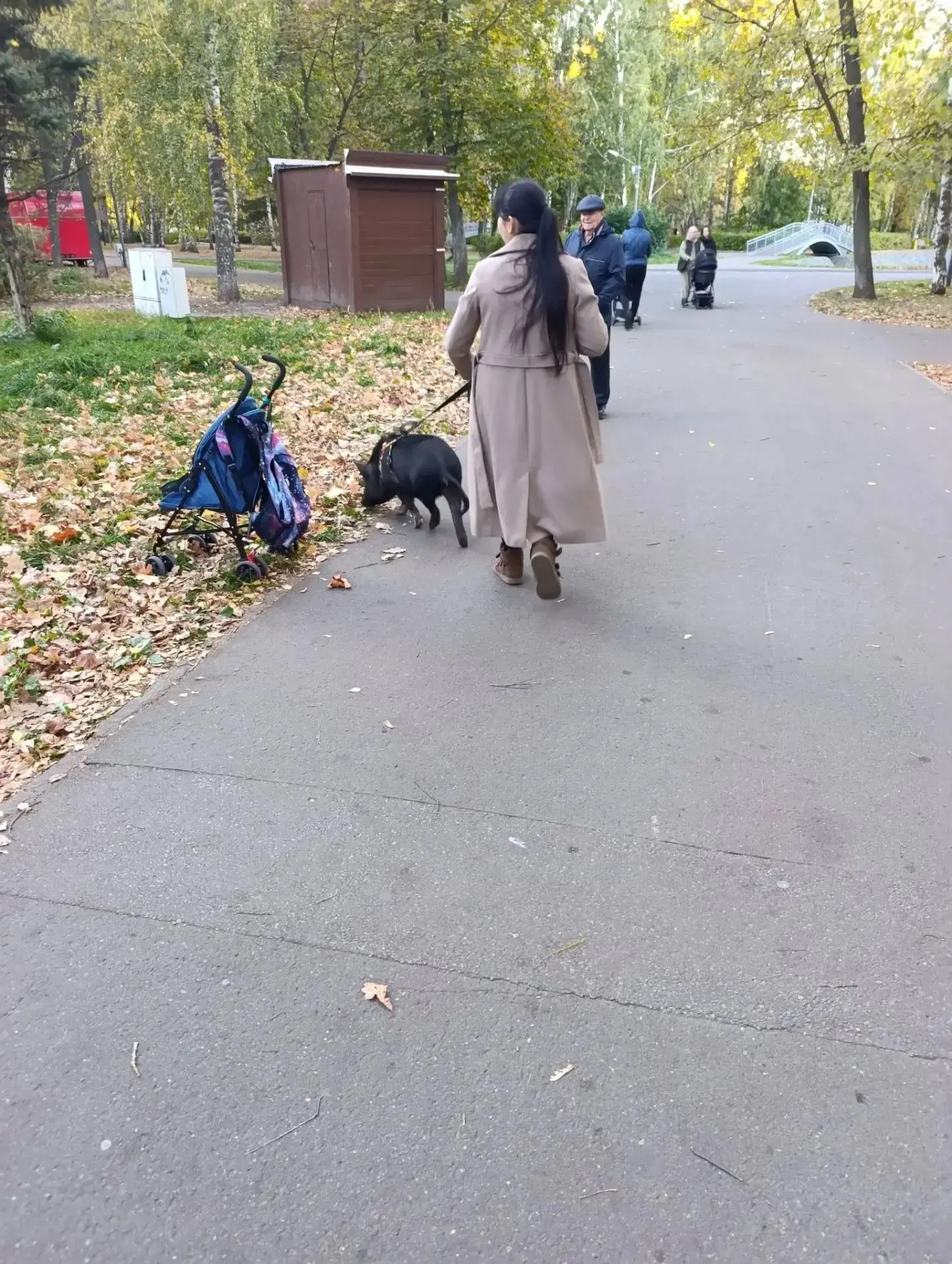 Казан шәһәренең Урицкий паркында этләр белән генә йөрмиләр икән!  Дуңгызлар белән һава ...