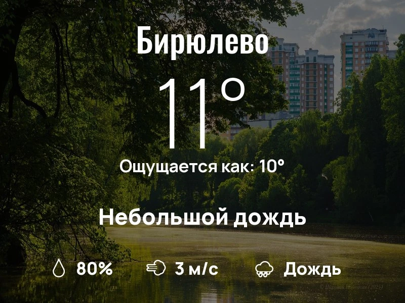 Что с погодой в Бирюлево?