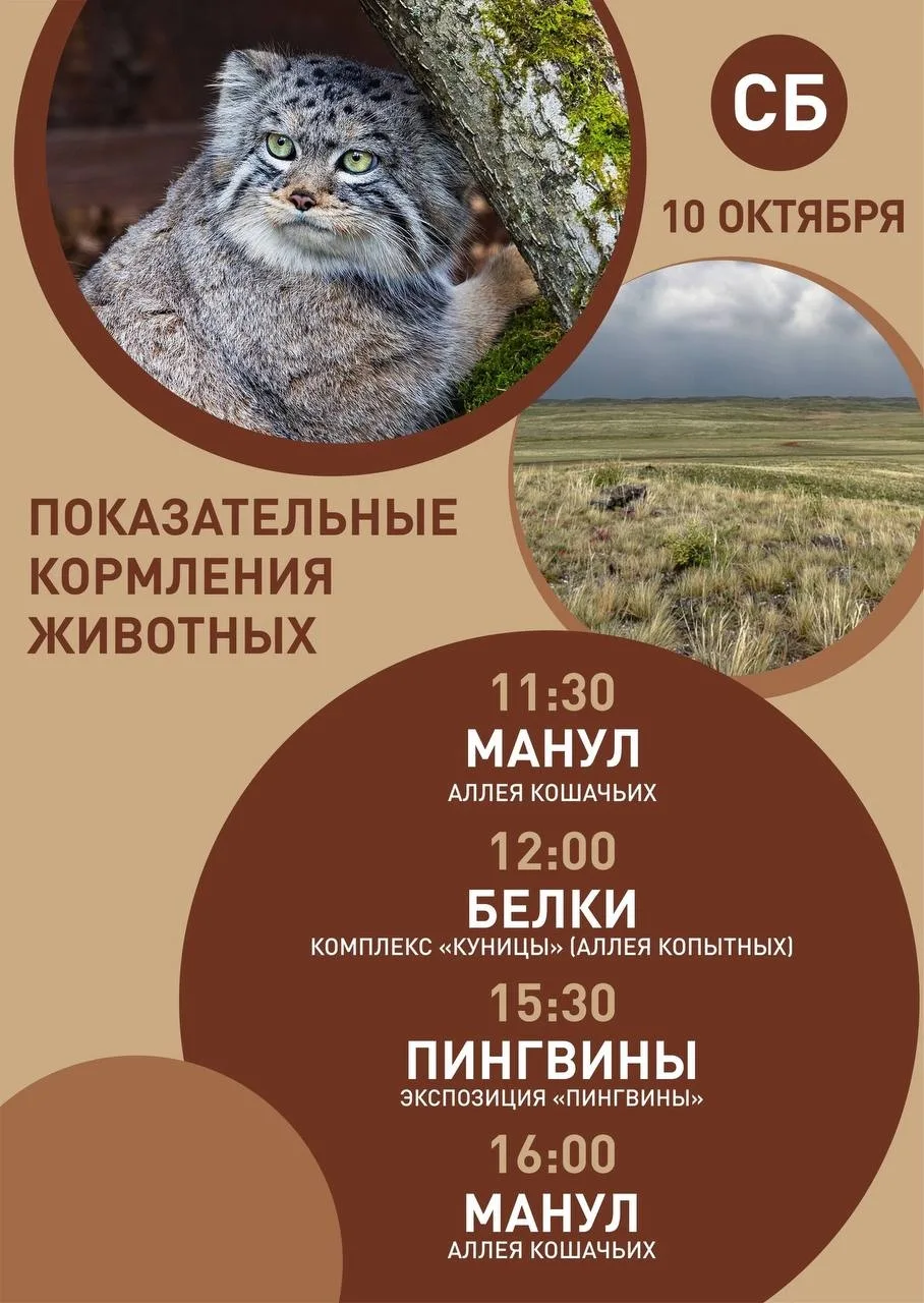Расписание показательных кормлений животных в парке "Роев ручей"