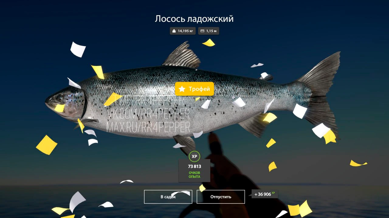 #архипелаг@rr4pepper
