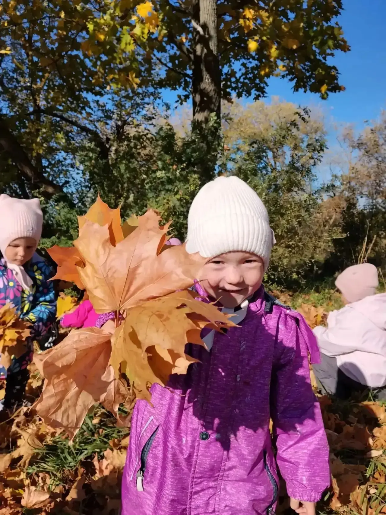 🍁 Осенняя прогулка в средней группе «Мишутка»наблюдаем, играем и познаем мир!