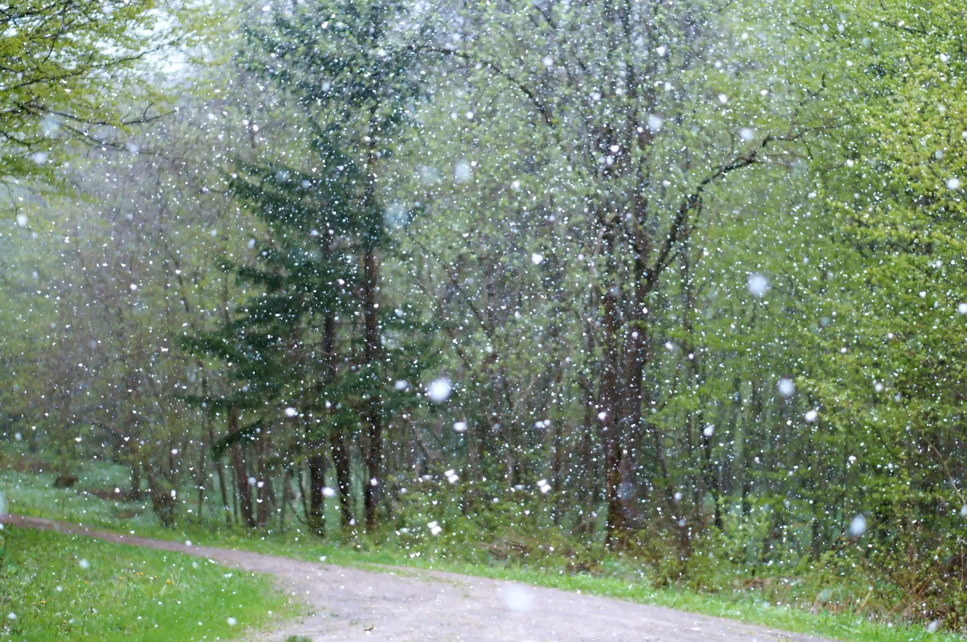 ⛈ Циклон принесёт на Сахалин сильные дожди с мокрым снегом — прогноз на неделю