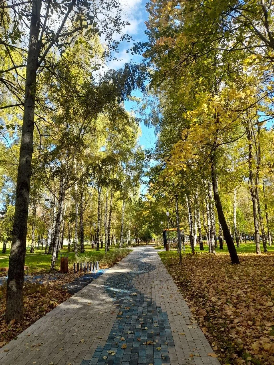 🍂 Осенний пейзаж из Ижорского сквера!