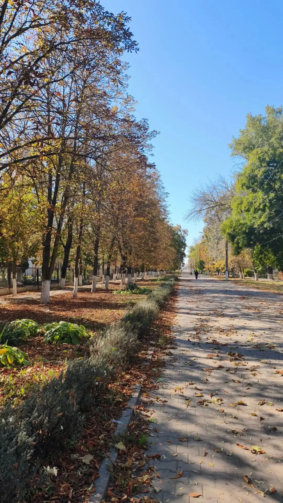 Ловим последние теплые деньки ☀️