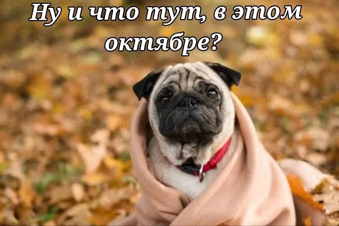 Народные приметы на октябрь🍁: