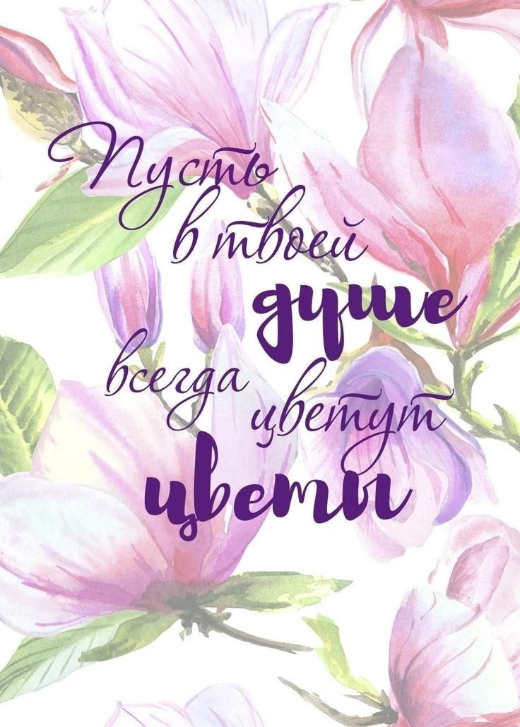 Доброе утро, дорогие друзья!