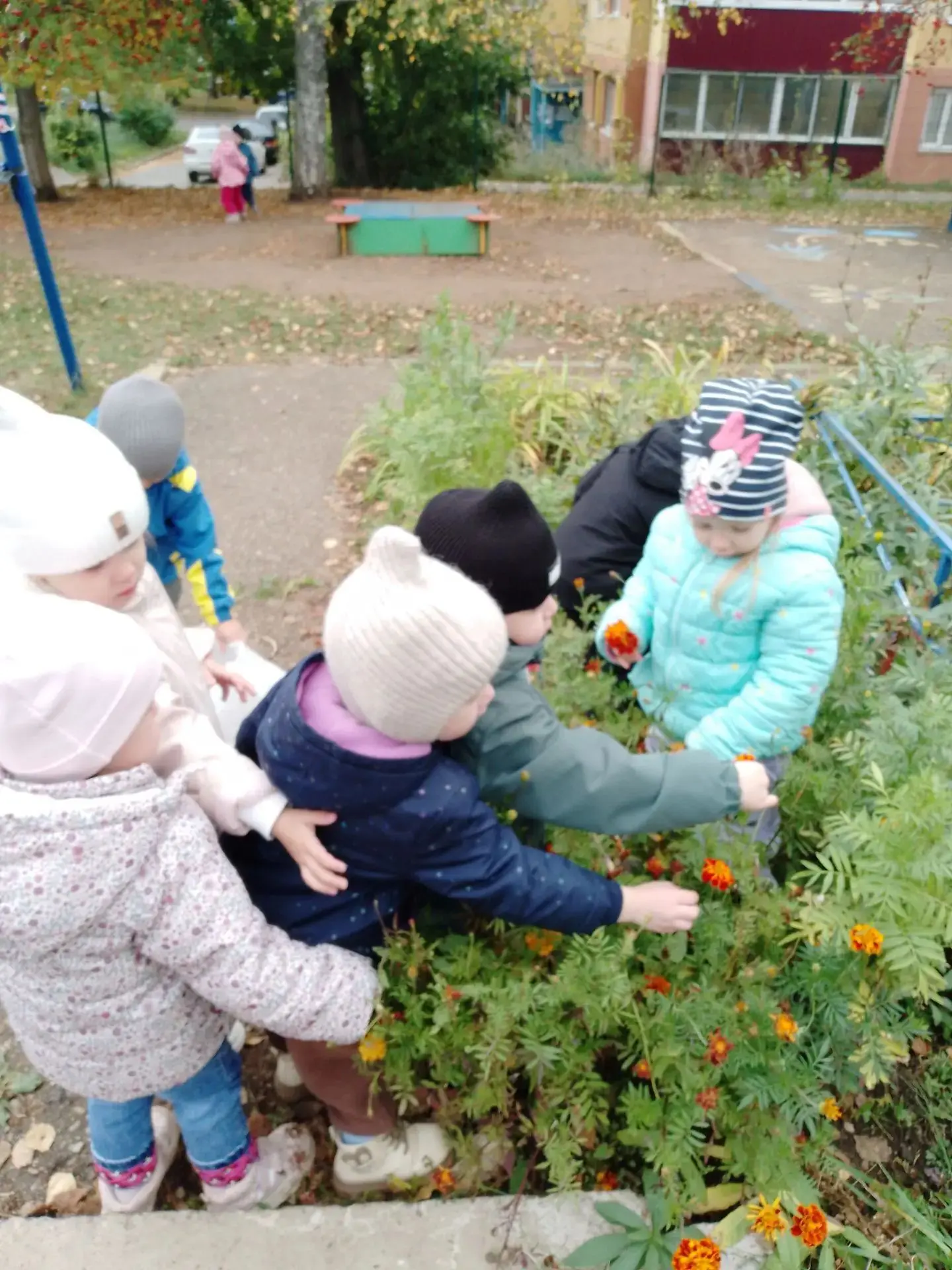 Трудовое воспитание – важное средство всестороннего развития личности дошкольника. Труд...