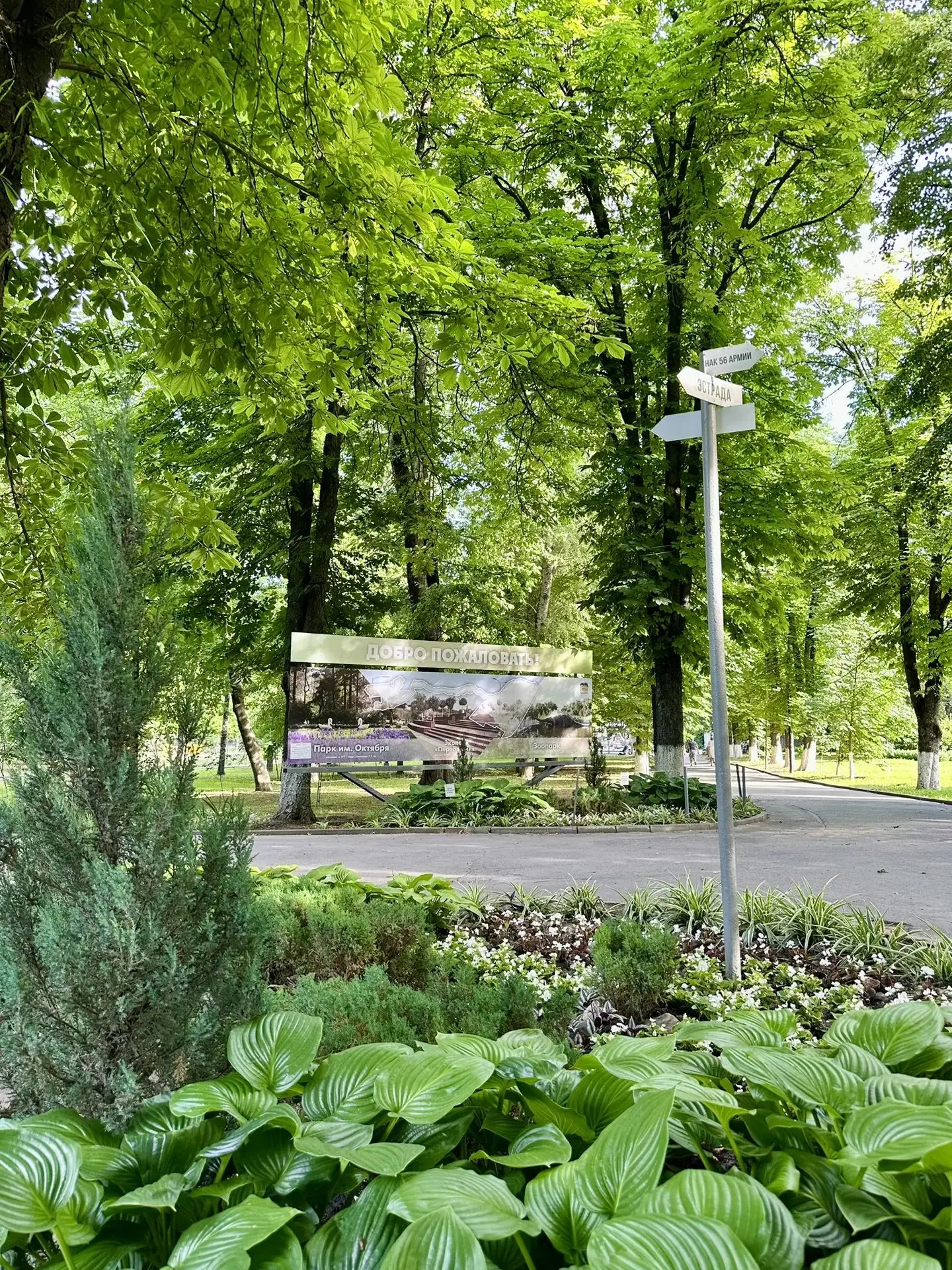 🍂 Успейте насладиться золотой осенью, приходите в парк Октября!