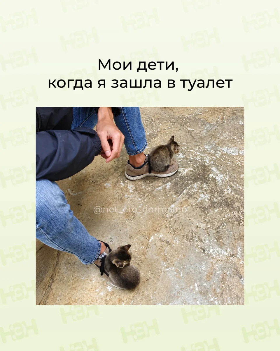 #мемы_нэн