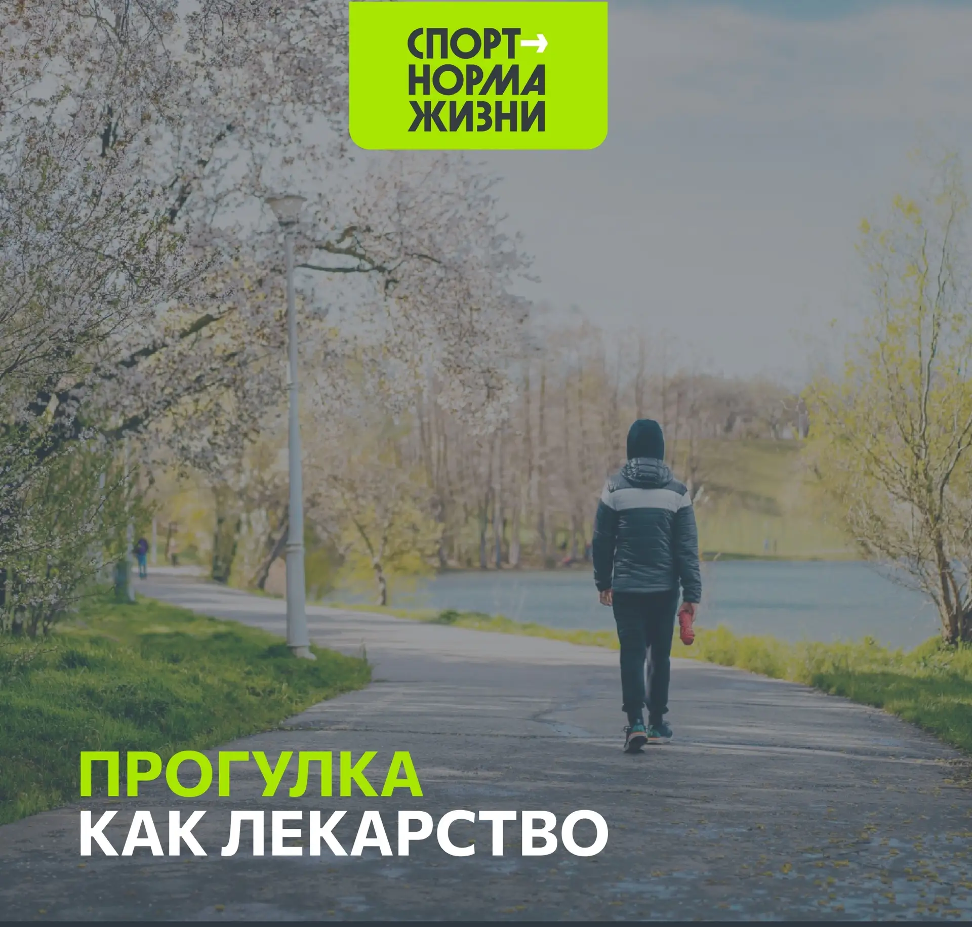 Рубрика «Здоровый образ жизни»: прогулка как лекарство