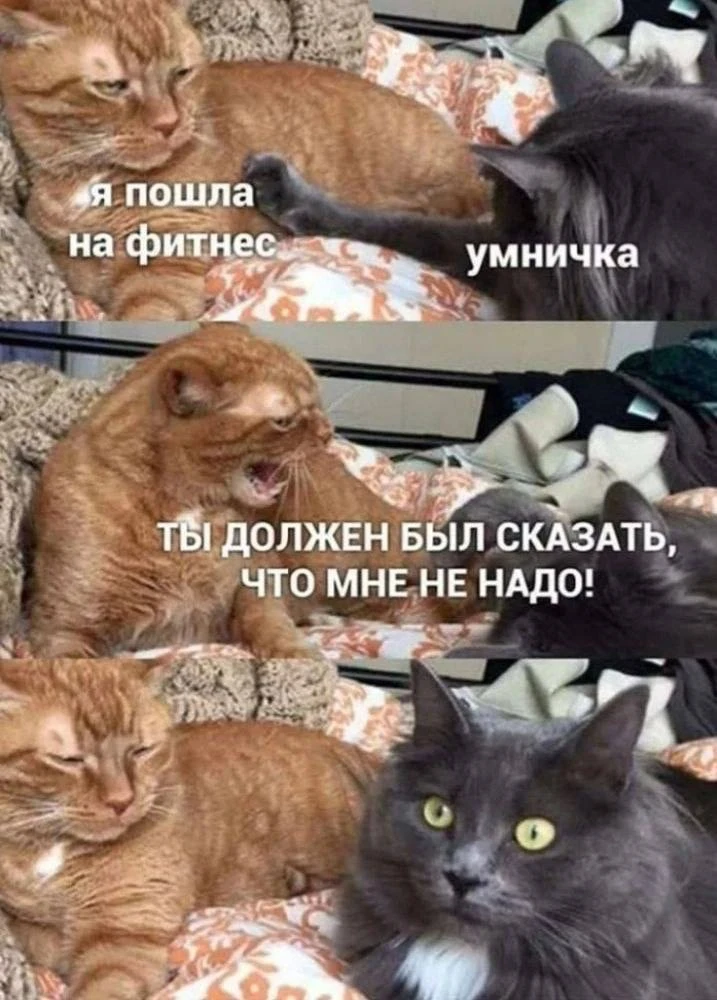 ))