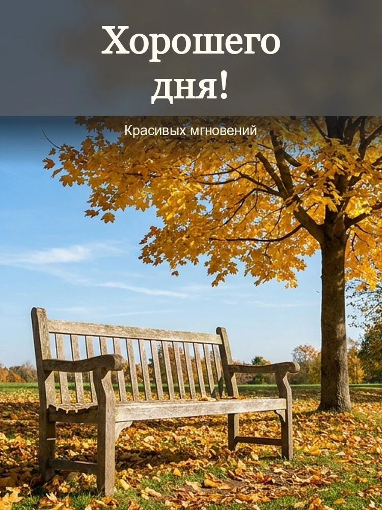 Хорошего дня!