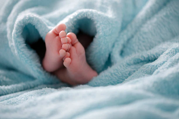 Оформить документы на малыша? Не выходя из роддома! 🍼✨