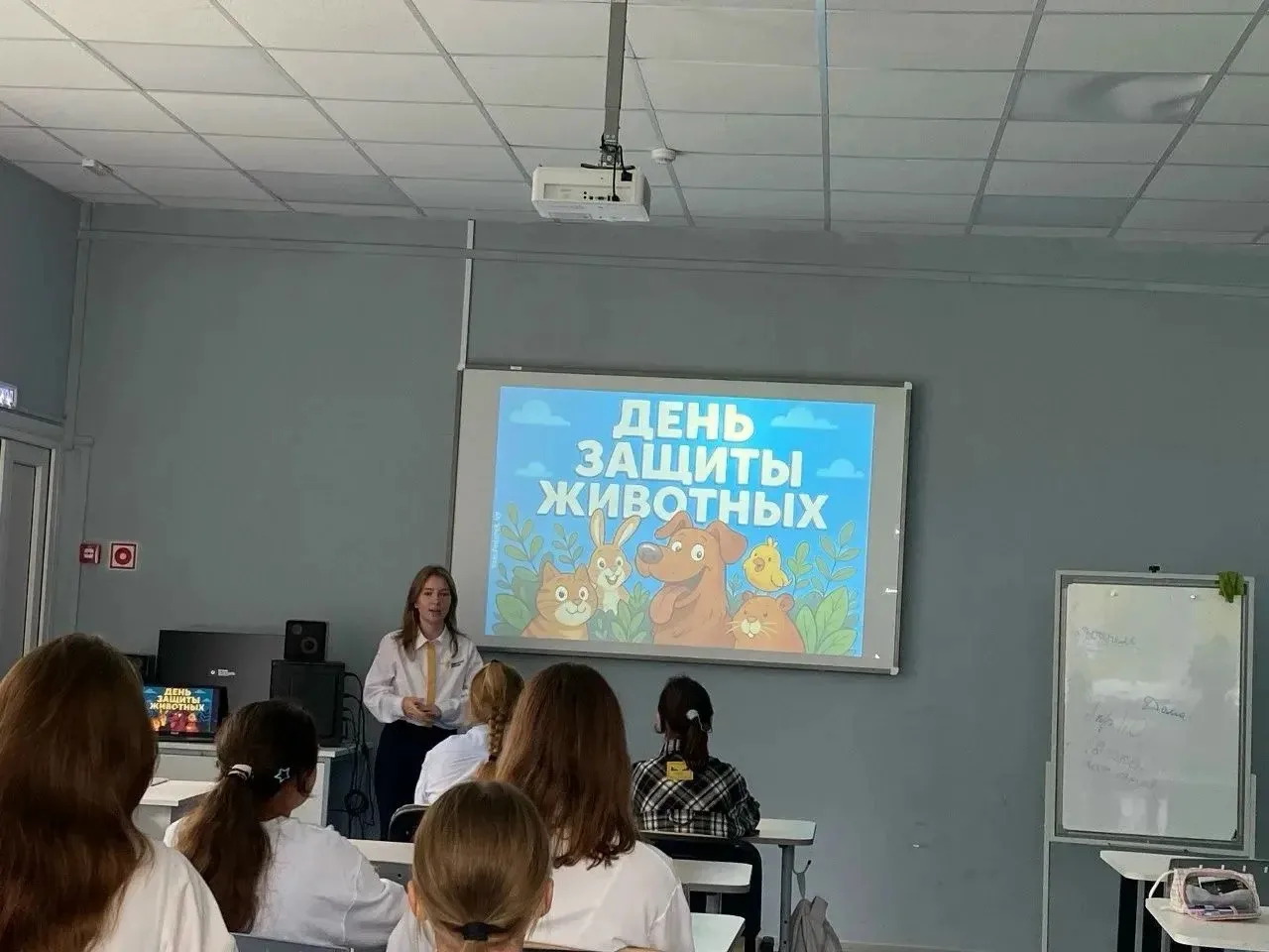 🎉 Всемирный день защиты животных: добрые дела начинаются с малого! 🎉