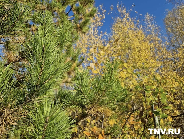 ☀️Татарстанда бүген һава +15 градуска кадәр җылыначак
