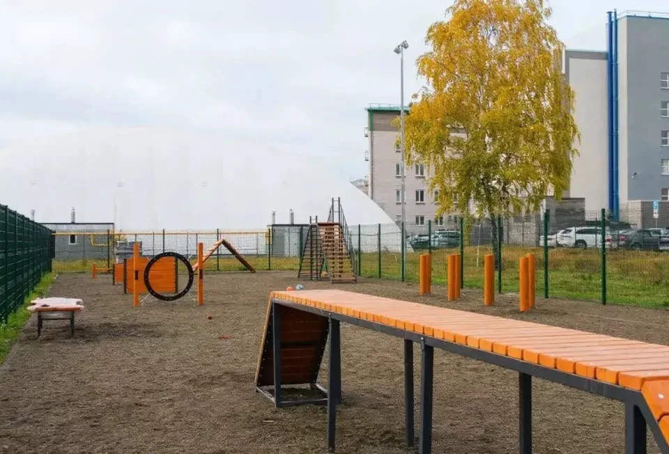 🌳На улице Шумакова, 9 завершают второй этап благоустройства пространства