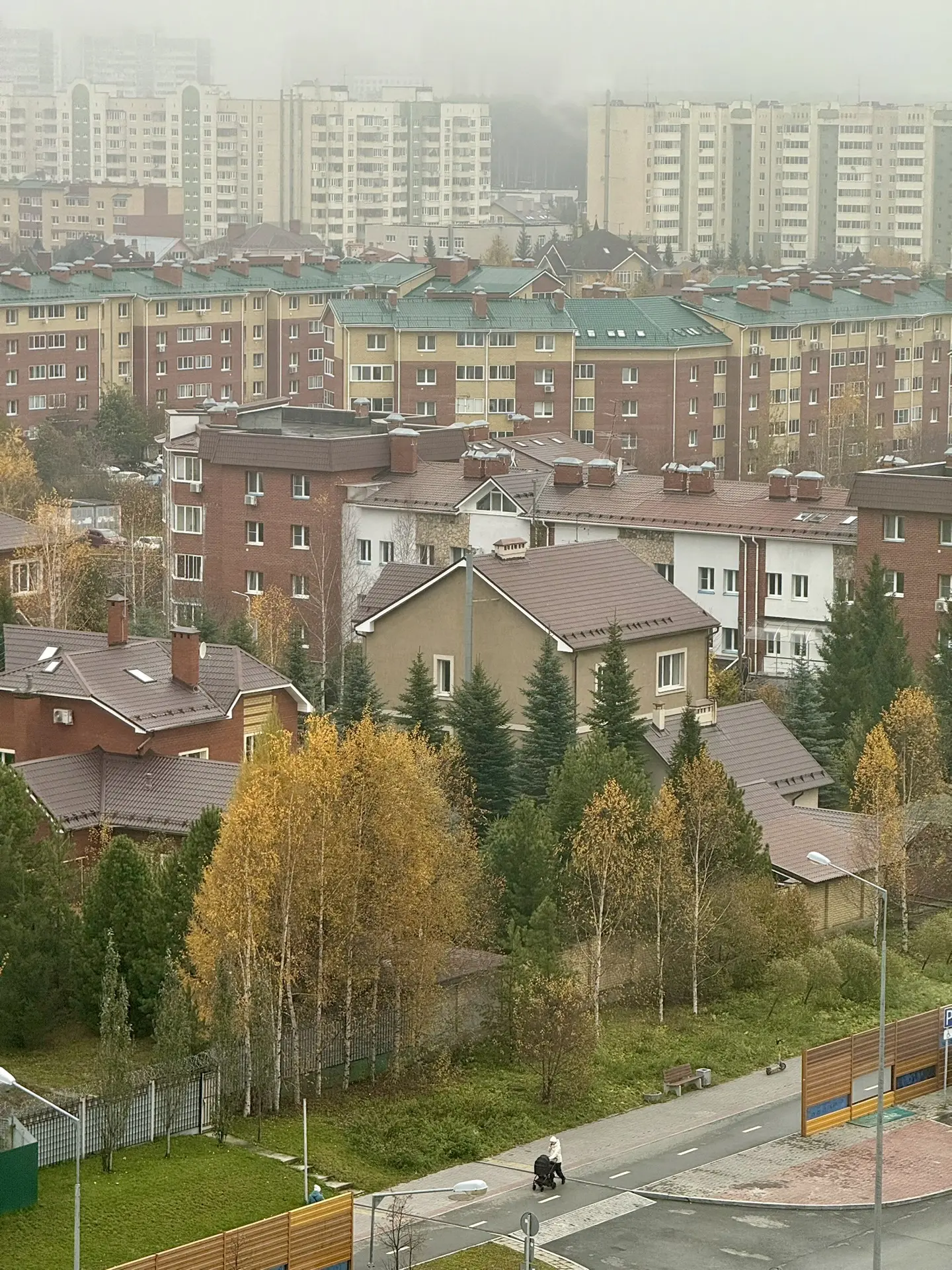 Сегодня весь Академ в тумане! 🌫️
