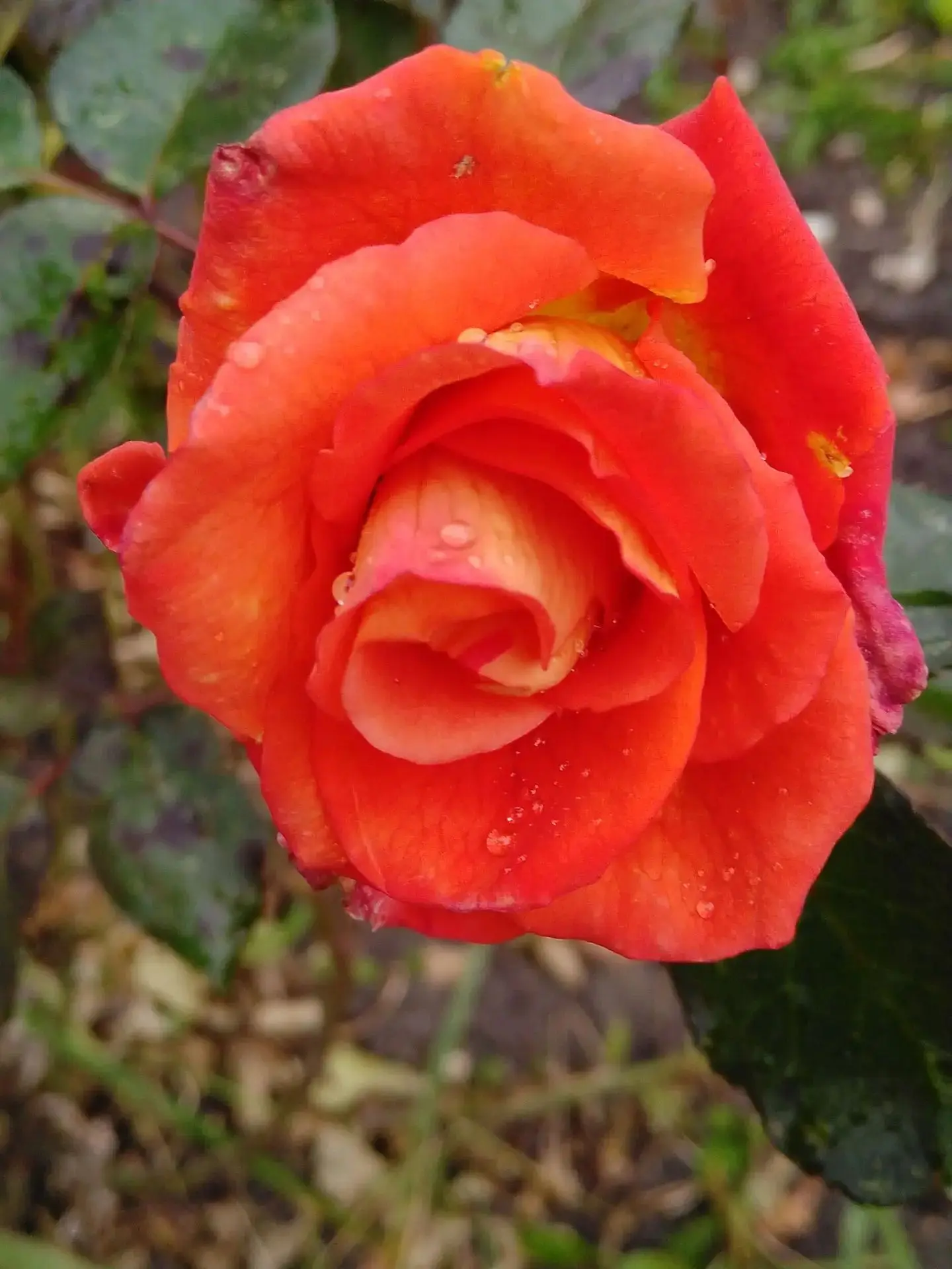 🌺Суббота создана для того, чтобы немного выдохнуть, улыбнуться и вспомнить, что жизнь ...