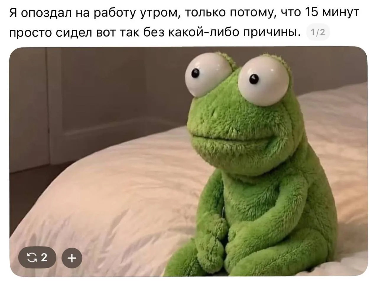 Сегодня пятница 🫂