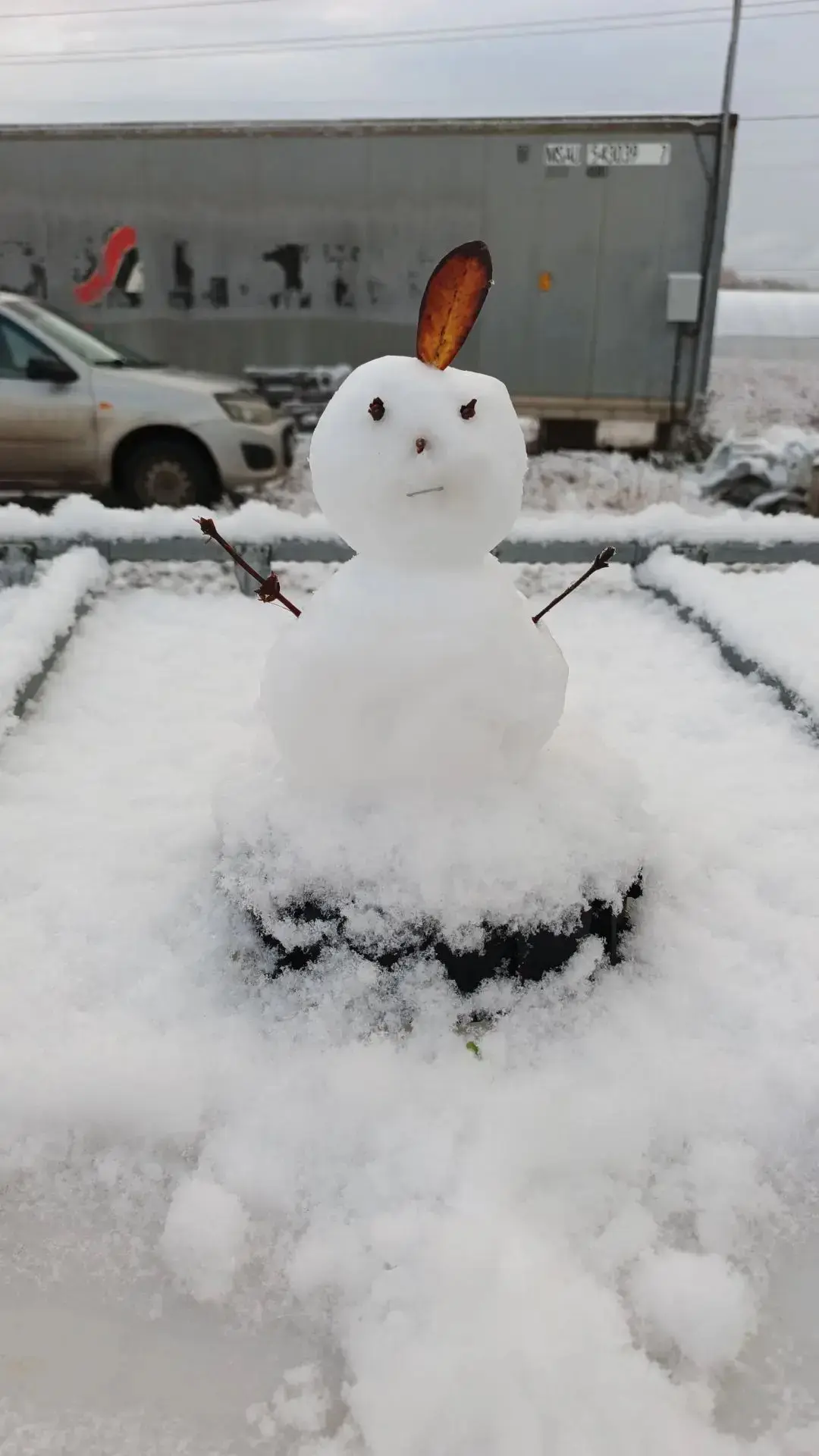 На поле у нас очень снежно ❄️