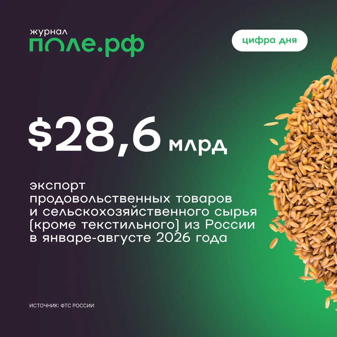 ⚡ Экспорт продукции АПК из России вырос на 20,1% в январе-августе 2026 года, сообщает ФТС.
