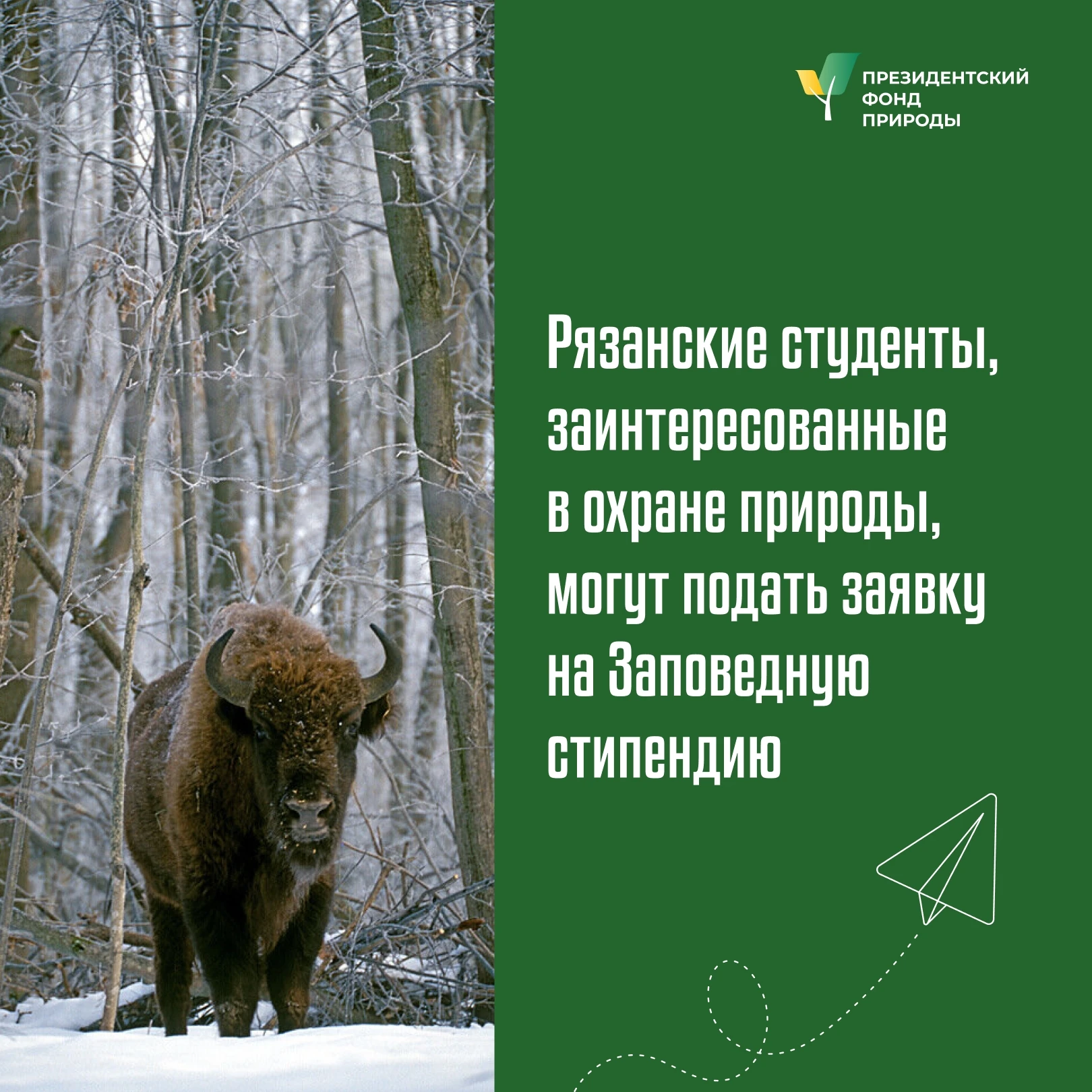 Рязанские студенты могут принять участие в конкурсе на «Заповедную стипендию»