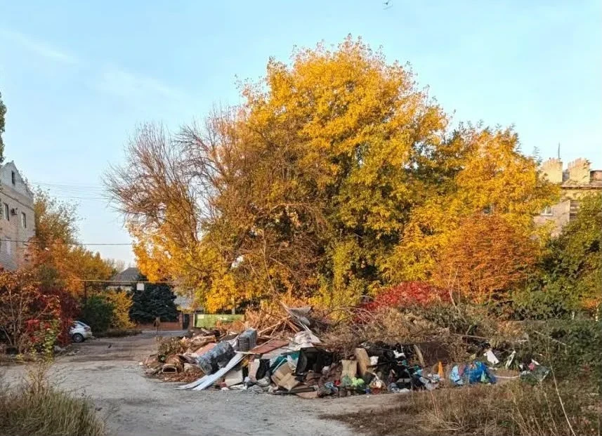 🗑 «Горы веток, стихийные свалки и искатели сокровищ»: мусорный кошмар во дворе дома №1...