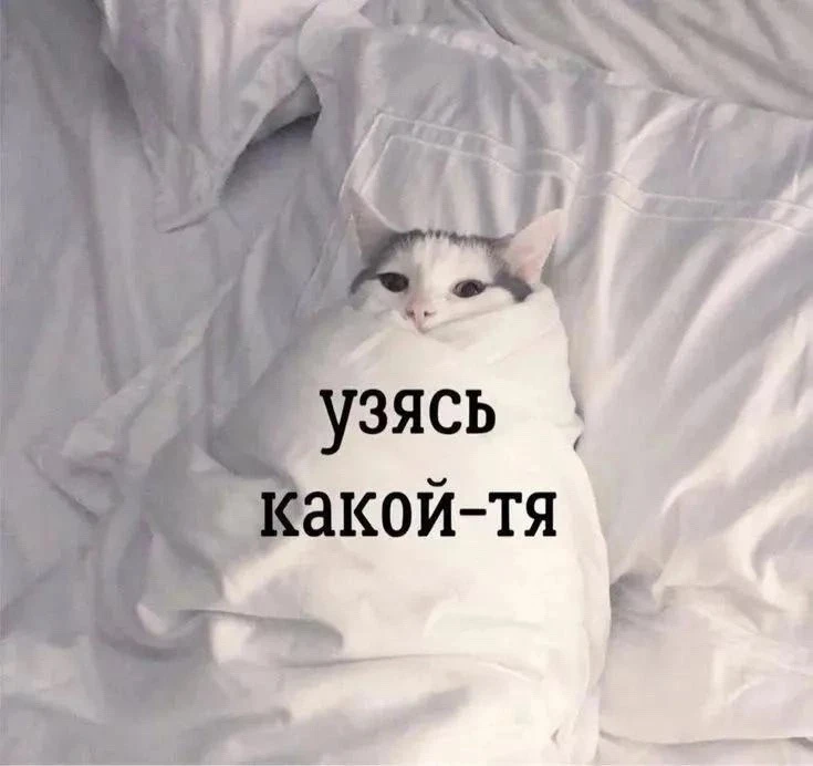Ну что, дорогие жильцы МКД, у всех открыт отопительный сезон? 👀 👀