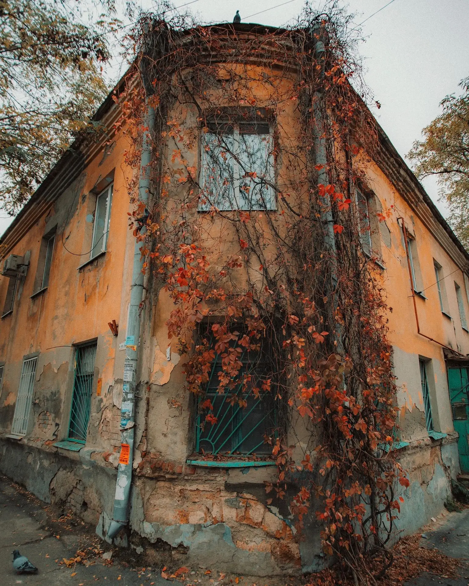 👀 Ростов-на-Дону, он такой разный
