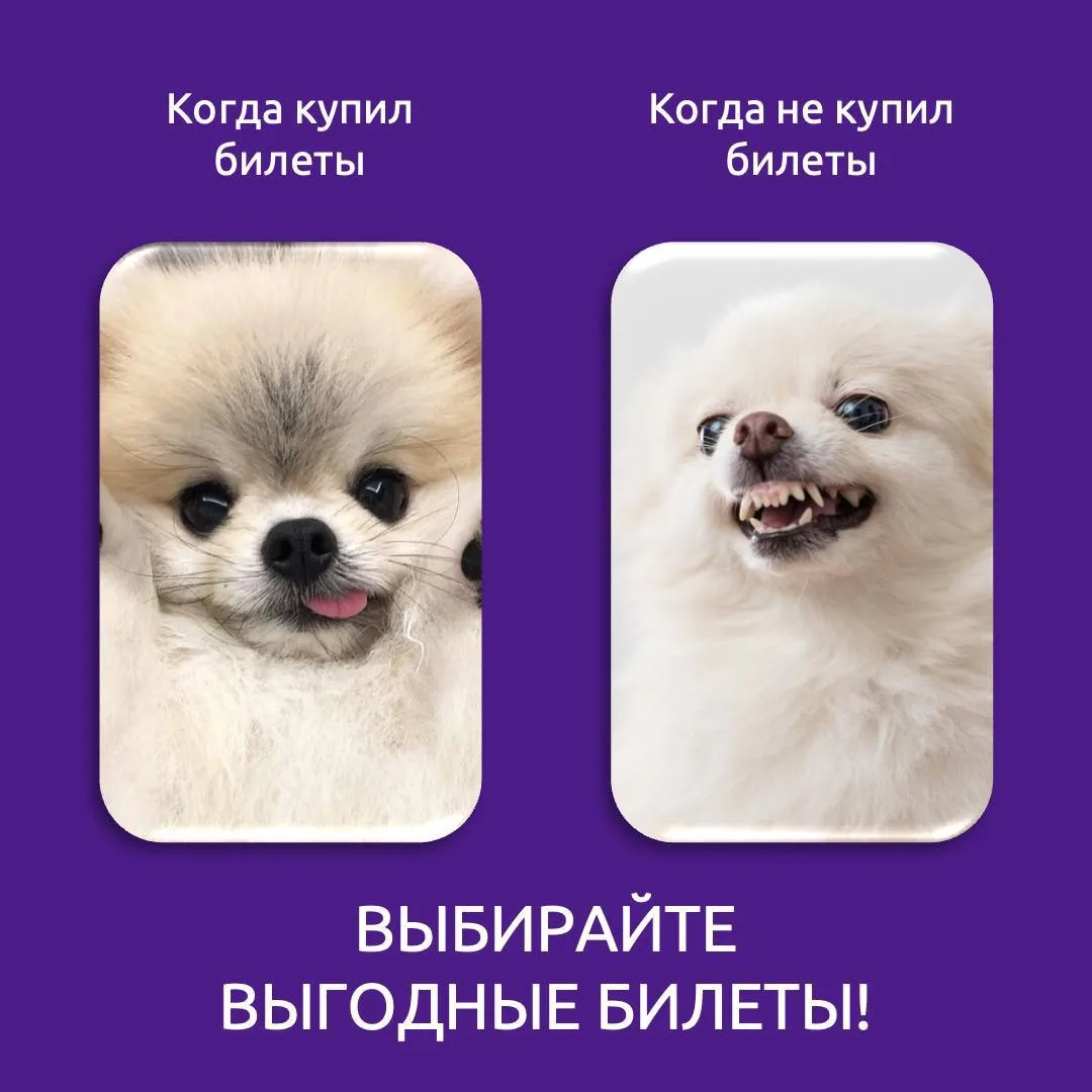 Мы знаем стопроцентный способ улучшить настроение 💜😀