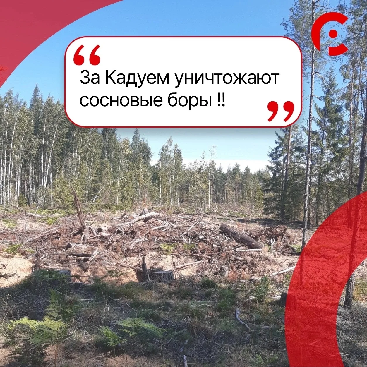 #КорниВологодчины