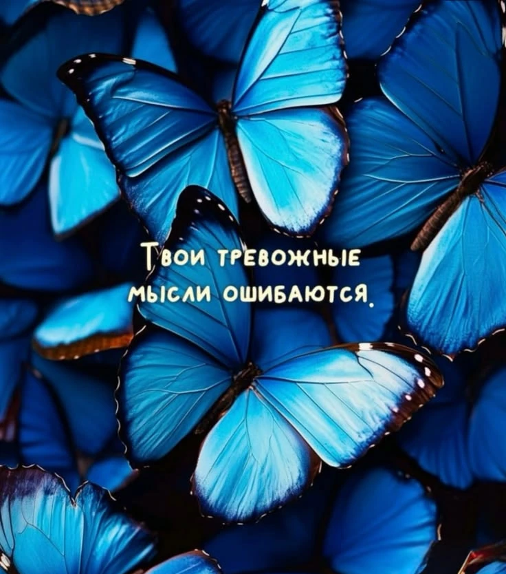 https://max.ru/invista123456