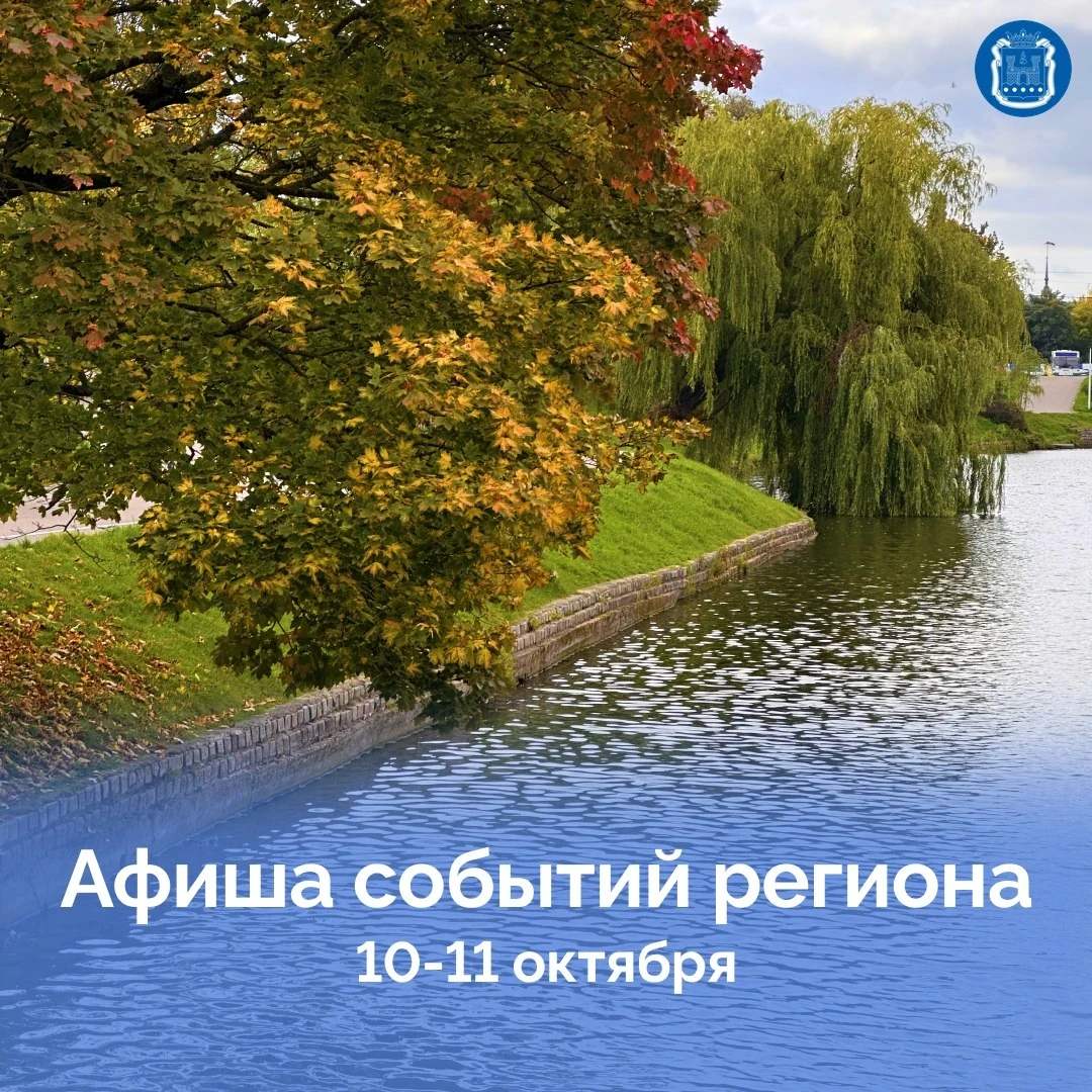 🎨 Фестиваль «Энергия науки и искусства» пройдёт 10 и 11 октября