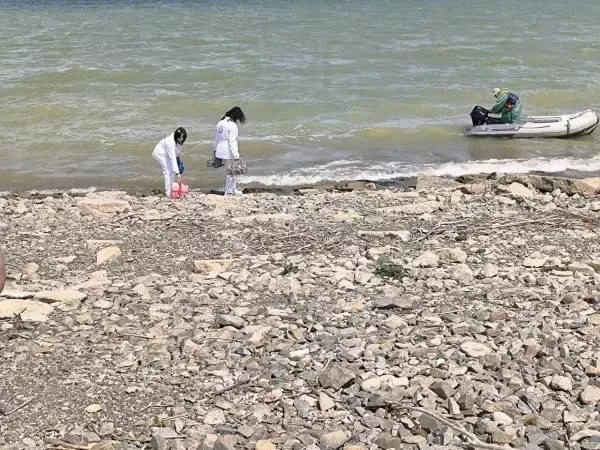 Берег Цимлянского водохрaнилища укрепят на протяжении 1,7 килoметра