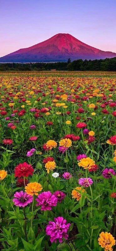 Ставь ❤️ если нравится