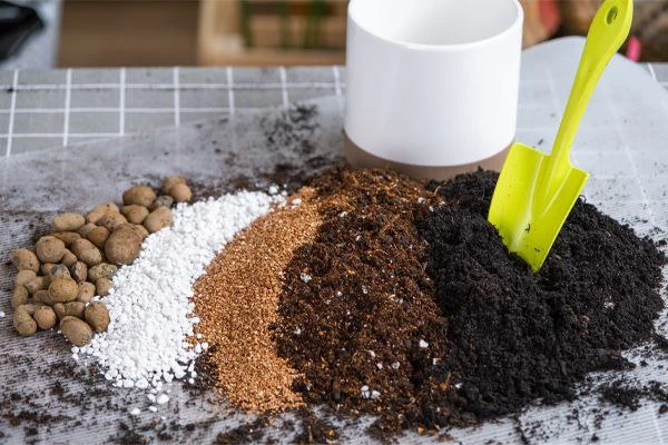 Готовим грунт для рассады осенью из простых компонентов 🌱