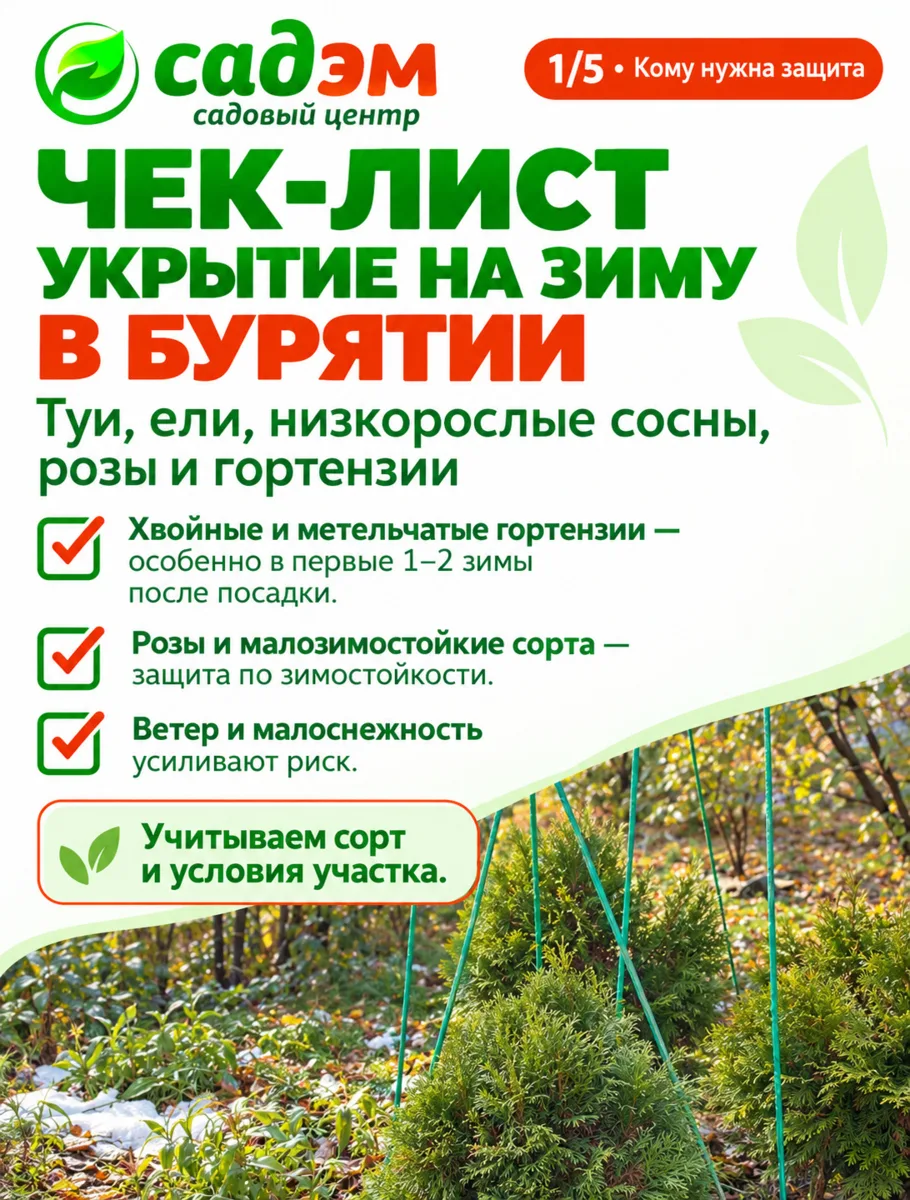🌲 Первая зима в саду? Помогите растениям встретить её подготовленными!