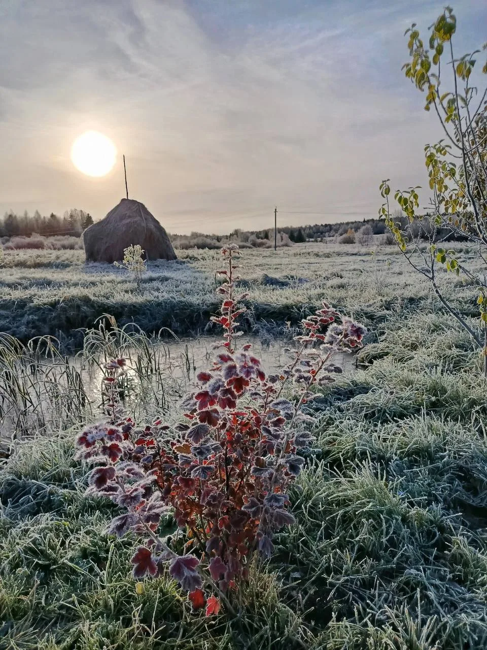 А это Плесецкий район. Красота — в деталях ❤️