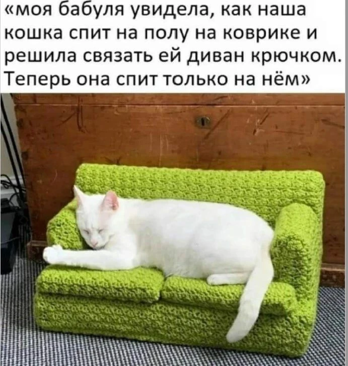 Немного юмора и милого котика