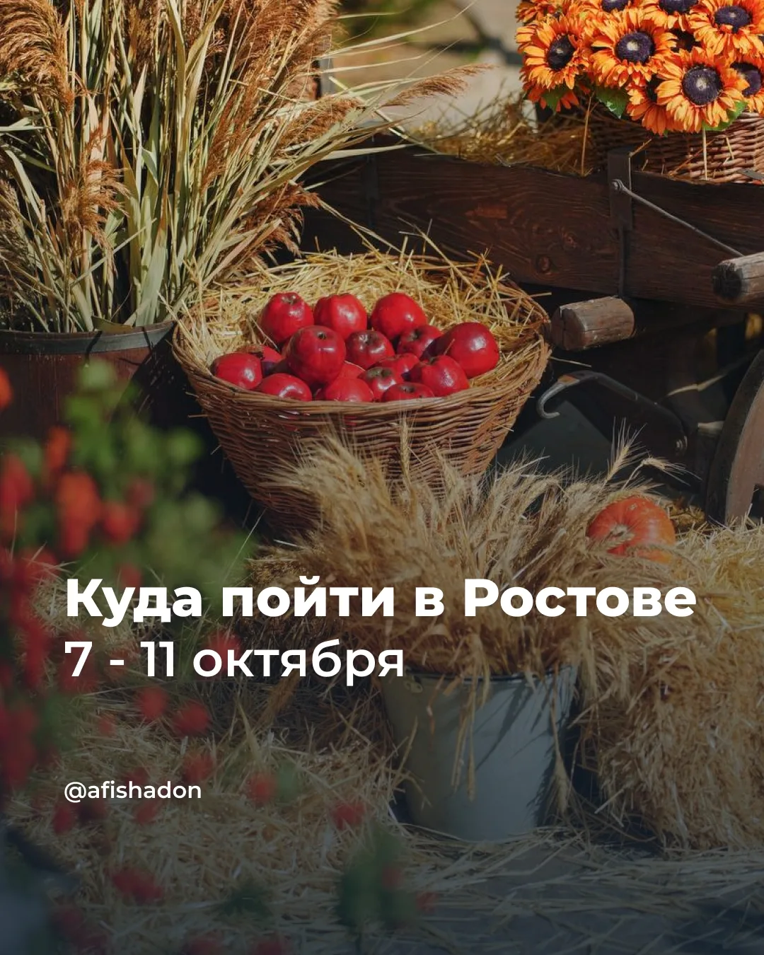 Что интересного ожидается в Ростове-на-Дону на этой неделе?