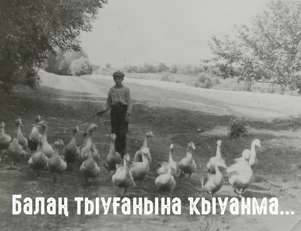 Инә ҡаҙ ишек алдында ни эшләрен белмәй, ары һуғылып, бире һуғылып ҡаңғылдап йөрөй ине. ...