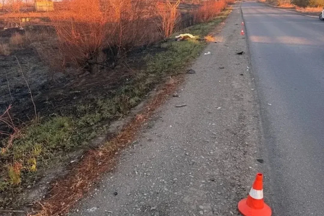 Водителя, насмерть сбившего пешехода в Орске, нашли в Гае