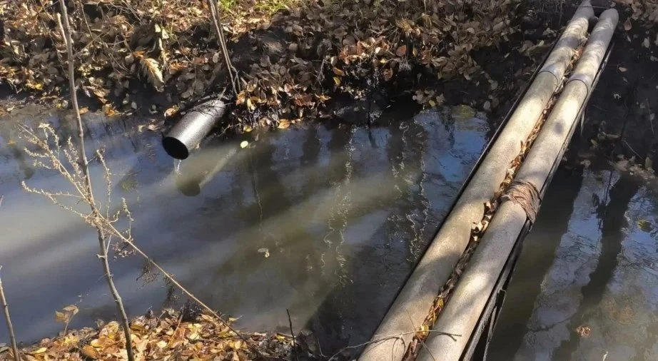 Проверка подтвердила сброс загрязненной воды в районе реки Чёрной в Хабаровске