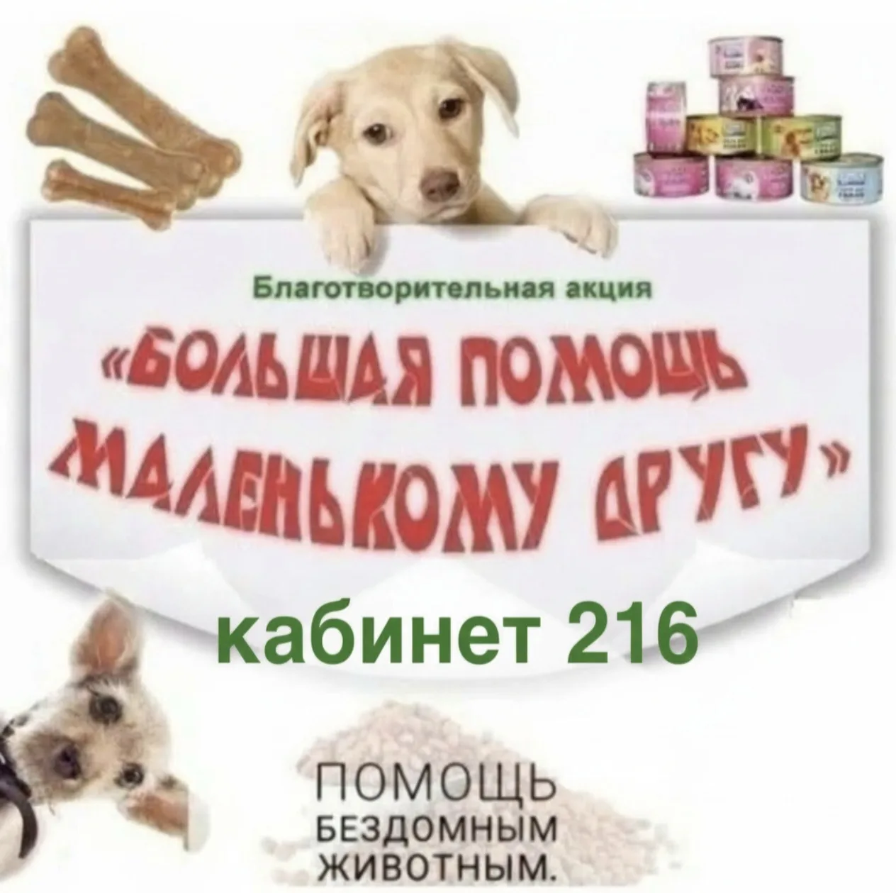 «Доброе сердце» начинает сбор помощи для собак Закамского приюта! 🐾