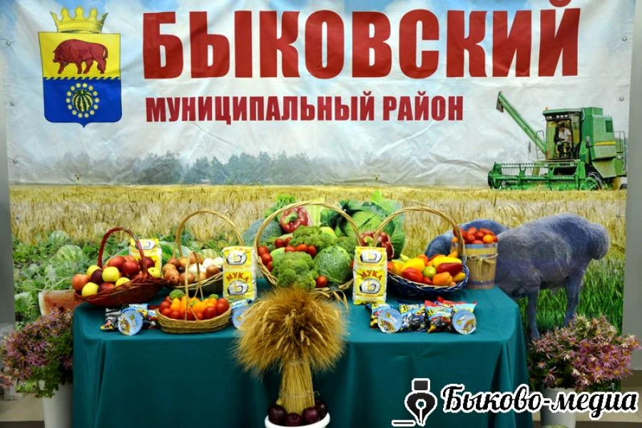 Быковчан и гостей района приглашают на День работника сельского хозяйства | Быково-меди...