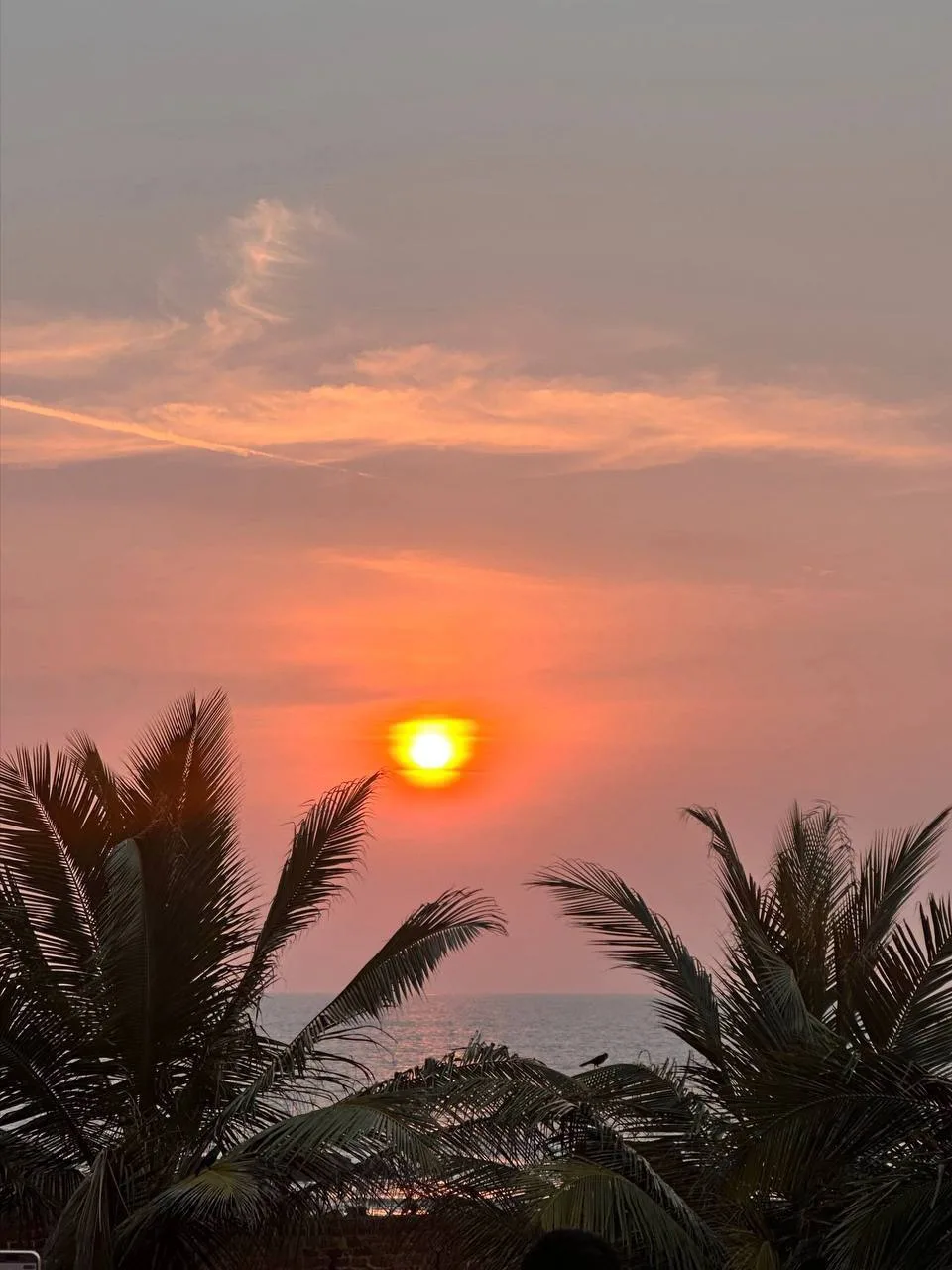 🔥🇻🇳 ОСЕНЬ ПОДОЖДЁТ — ПОРА В НЯЧАНГ! 🌴🌊